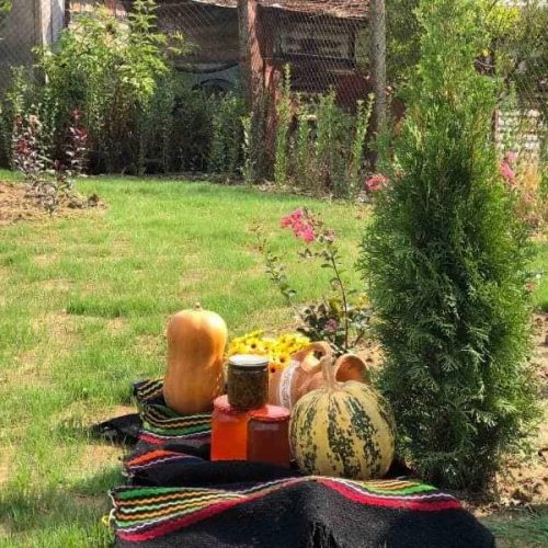 264174085_111074911412204_3131679461165979008_n