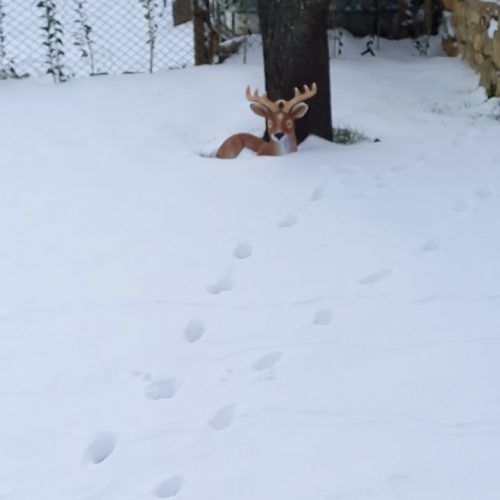 271186872_1150025858865642_244168424446102159_n