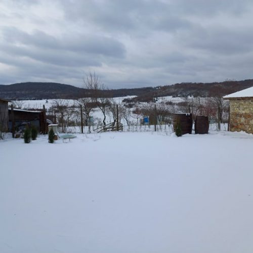 271477114_346604400325083_639613707448100862_n